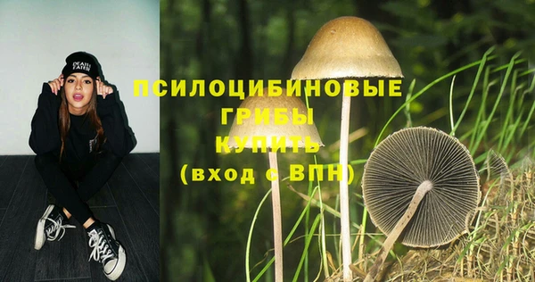 прущая мука Лабытнанги