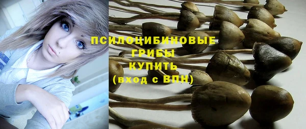 MDMA Куйбышев